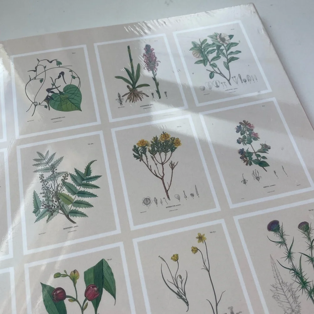NWT Urban Outfitters Alexander von Humboldt Botanical Illustrations 22 Posters